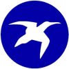 pacer_logo_jpg